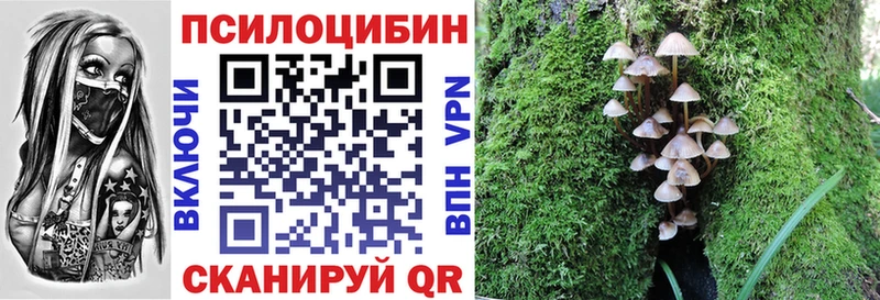 Галлюциногенные грибы мицелий Кинель